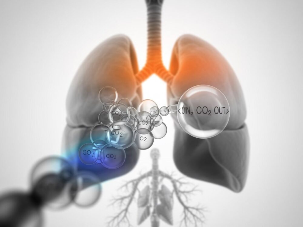 scientific illustration CO2