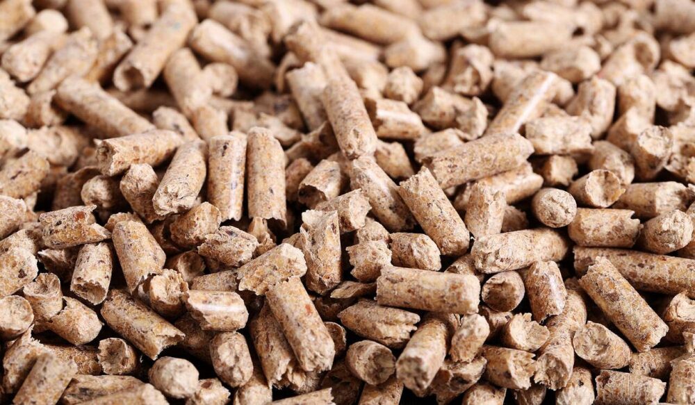 pellets_Easy-Resize.com.jpg